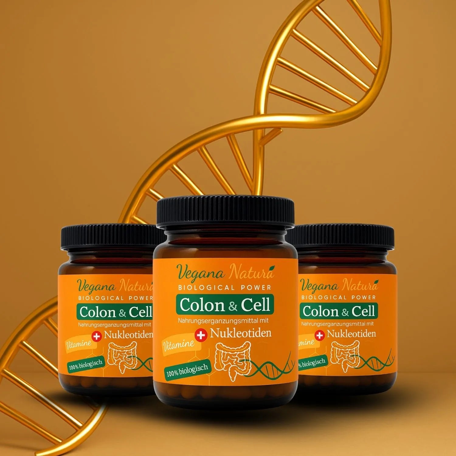 Colon & Cell + Nucleotides