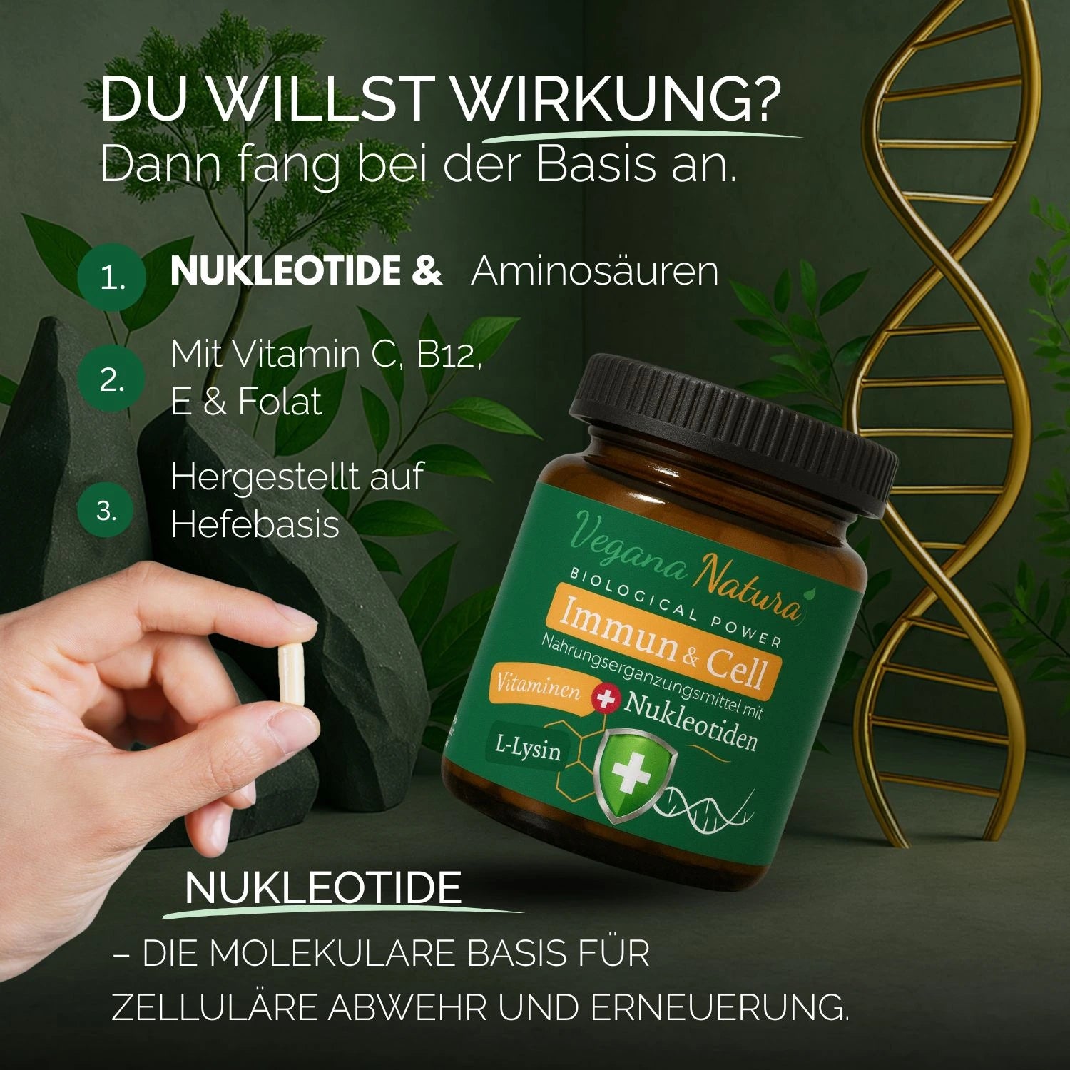 Immune system bundle