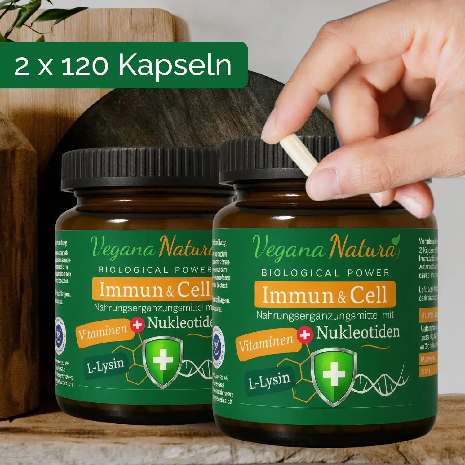 Nukleotide - Immun & Cell