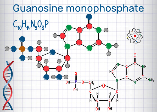 Guanosina (GMP)