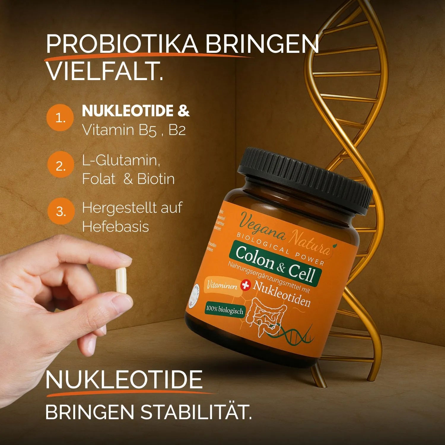 Immunsystem Bundle