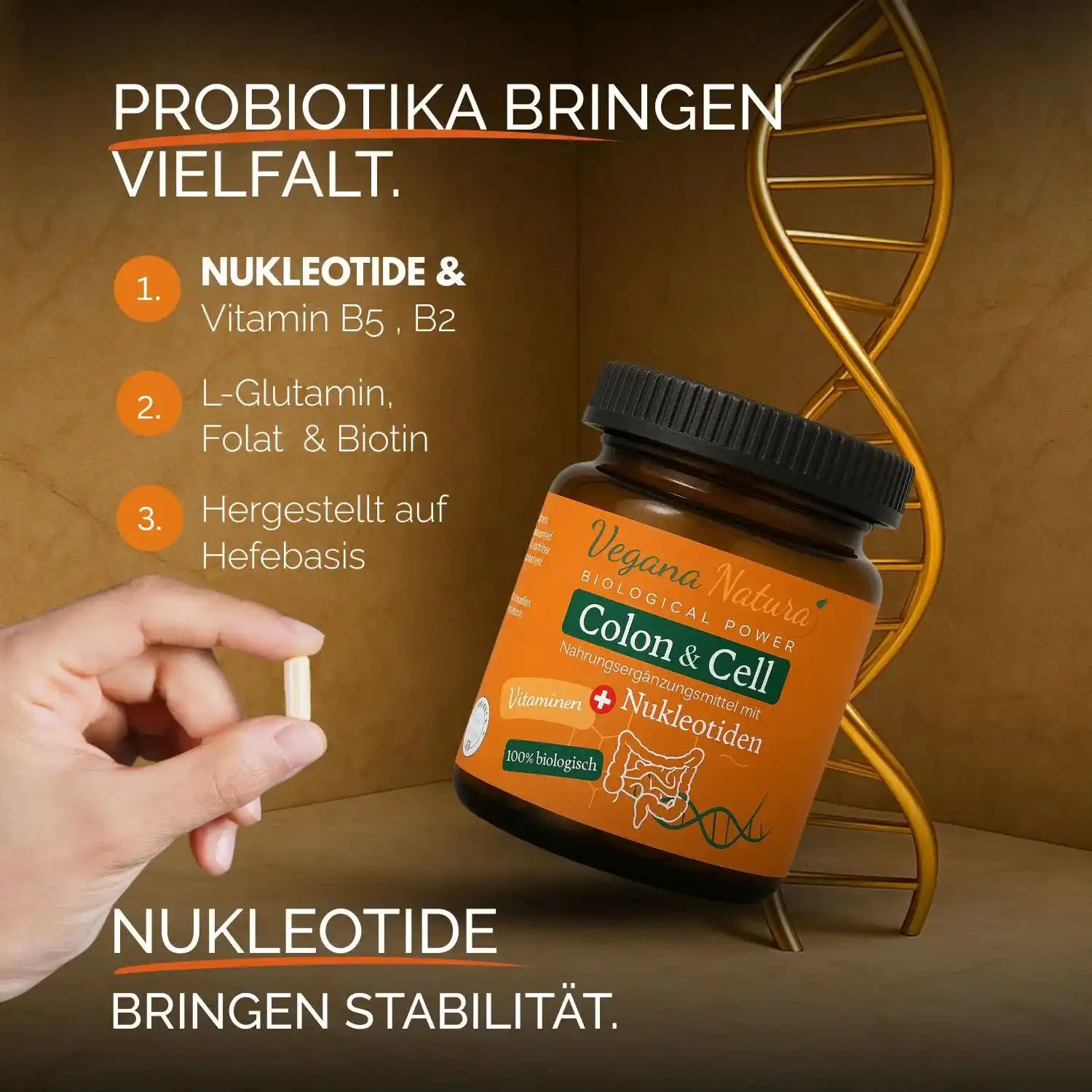 Nucleótidos - Colon & Cell