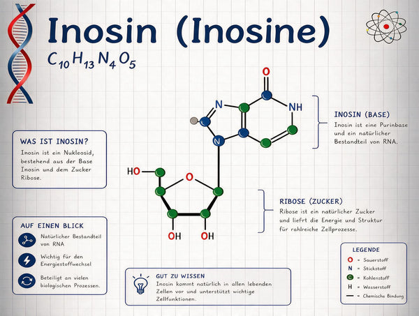 Inosina (IMP)