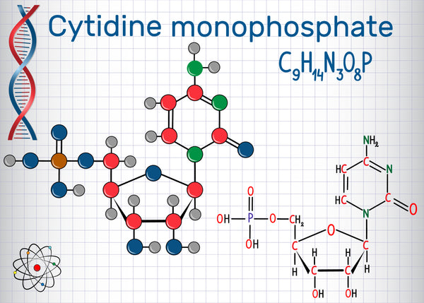 Citidina (CMP)