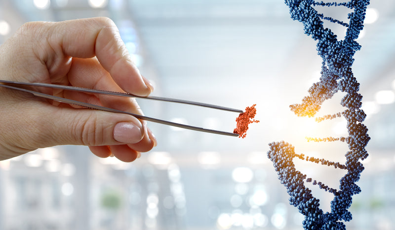 DNA Molekül in der Forschung