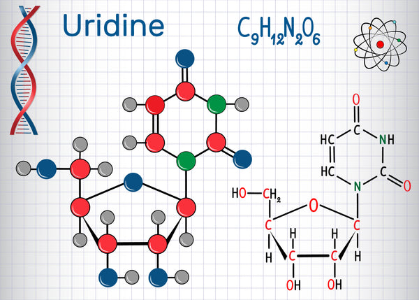 Uridina (UMP)